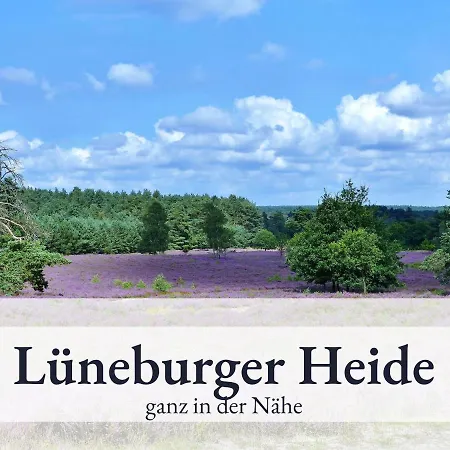 Blumenvilla 4 Mit Kueche, Balkon, Sauna Und Garten Schneverdingen