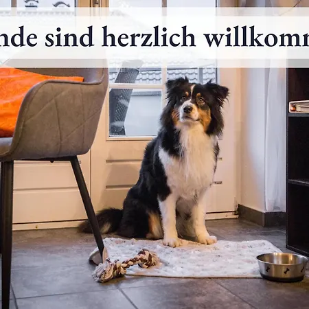 Blumenvilla 4 Mit Kueche, Balkon, Sauna Und Garten *